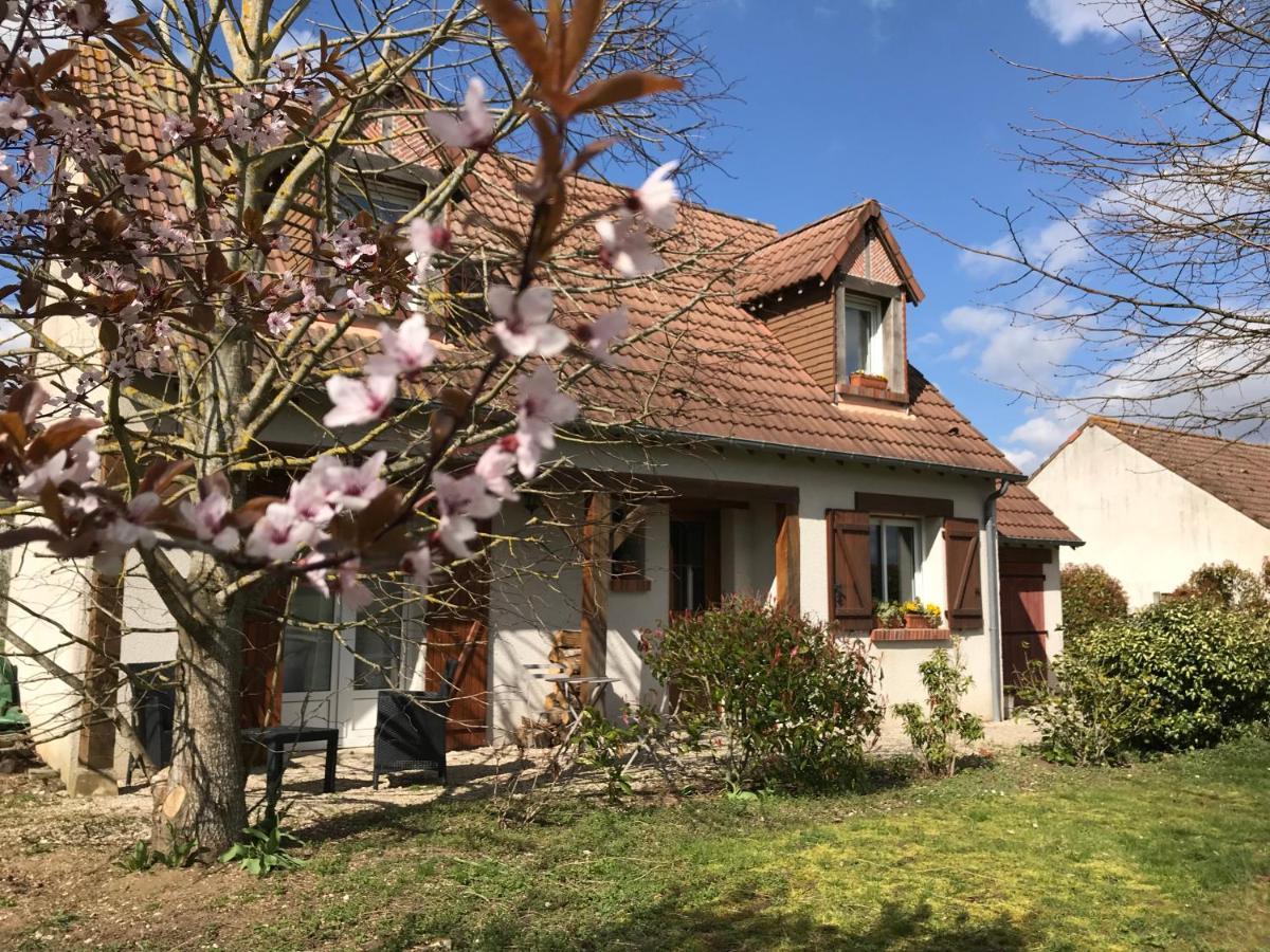 Au Coeur Des Chateaux Cheverny Εξωτερικό φωτογραφία